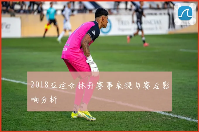 2018亚运会林丹赛事表现与赛后影响分析