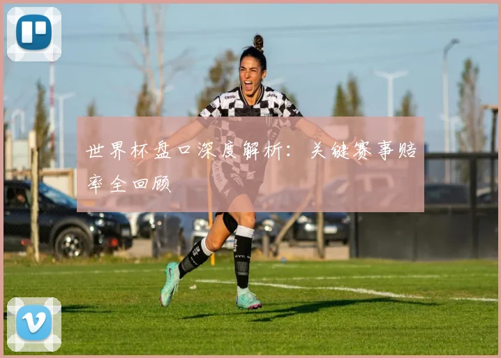 世界杯盘口深度解析：关键赛事赔率全回顾