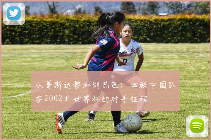 从哥斯达黎加到巴西：回顾中国队在2002年世界杯的对手征程