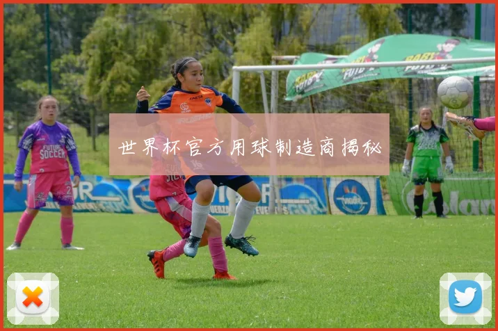 世界杯官方用球制造商揭秘