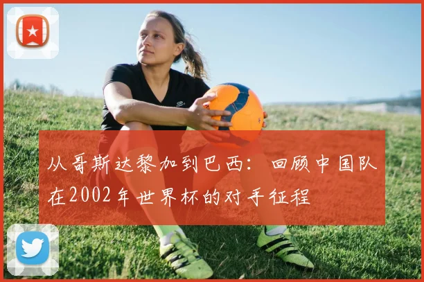 从哥斯达黎加到巴西：回顾中国队在2002年世界杯的对手征程