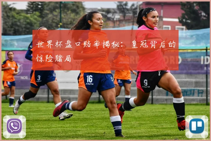 世界杯盘口赔率揭秘：皇冠背后的惊险赌局
