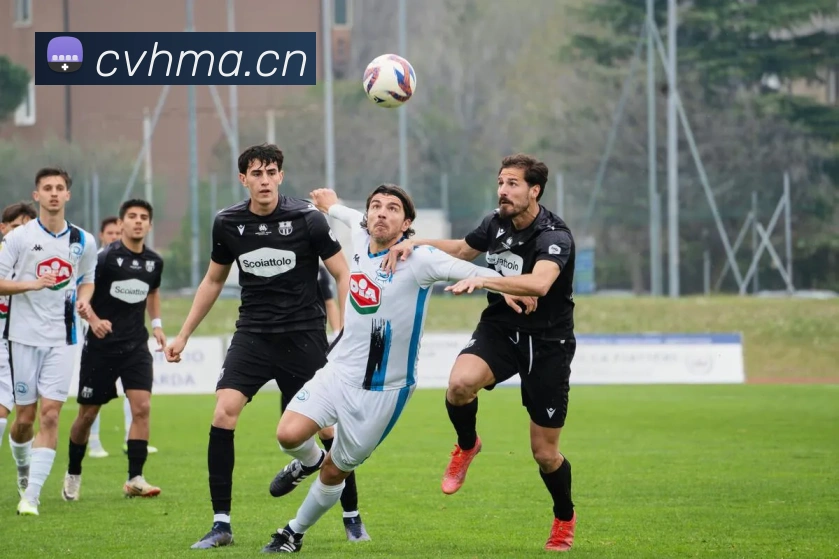 星空体育官方版官网APP 体育赛事宣传图